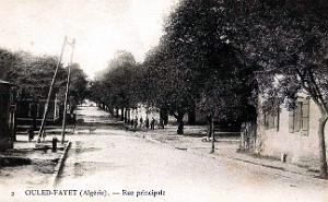 Ouled-Fayet - Rue Principale